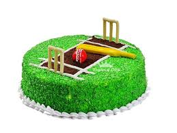 Cricket Theme Cake